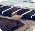 Industrial Composting Thumb