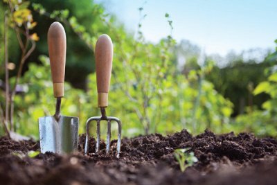 Gardening_With_Compost